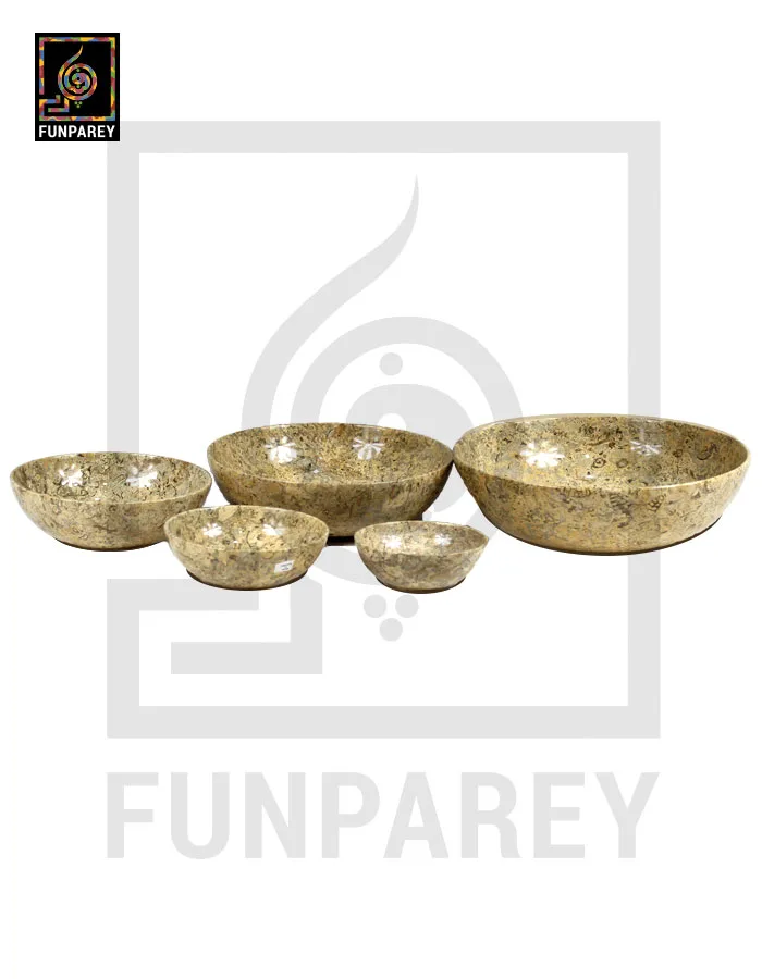 Coral Stone Bowl Set 7 Pieces with Embedded Fossil